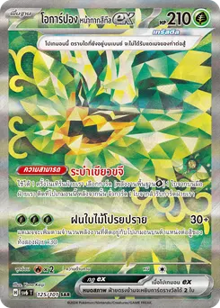 โอการ์ปอง หน้ากากสีทีล ex