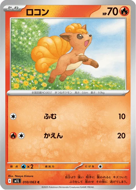ロコン