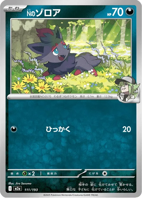 Nのゾロア