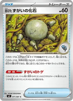 古びたずがいの化石