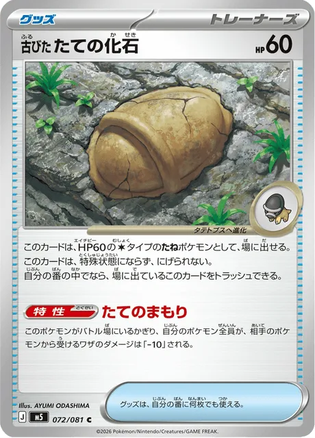 古びたたての化石
