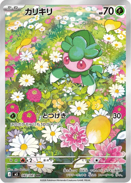 カリキリ