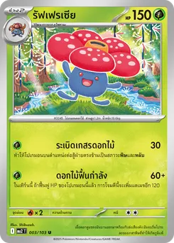 รัฟเฟรเซีย