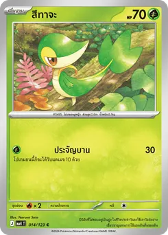 สึทาจะ