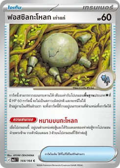 ฟอสซิลกะโหลก <เก่าแก่>