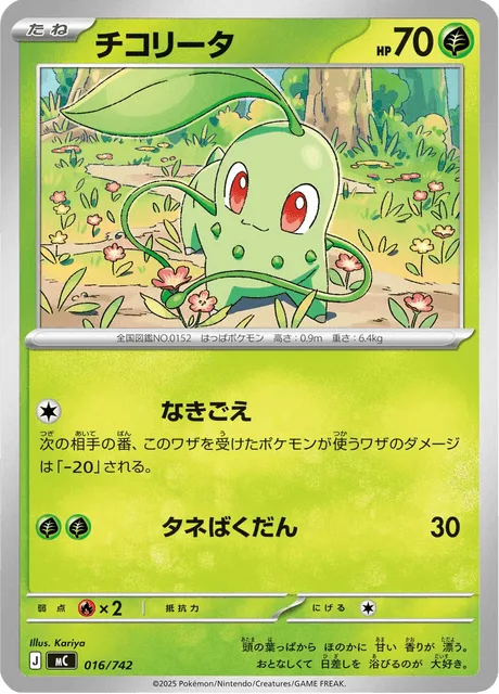 チコリータ
