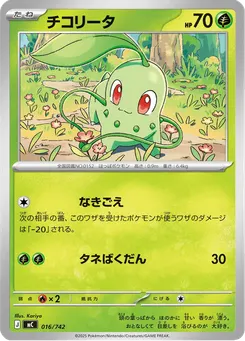 チコリータ