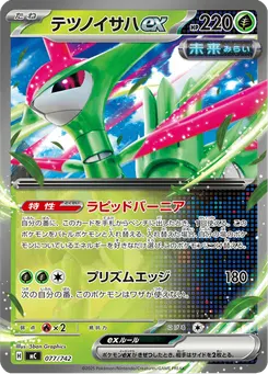 テツノイサハex