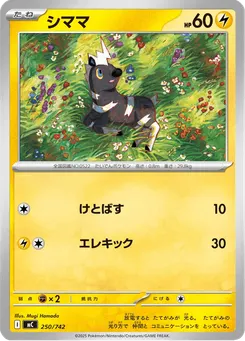 シママ