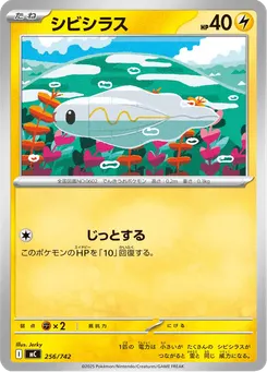 シビシラス