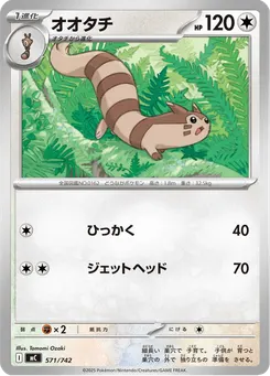 オオタチ