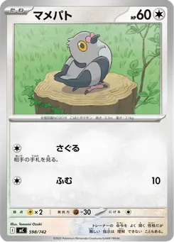 マメパト