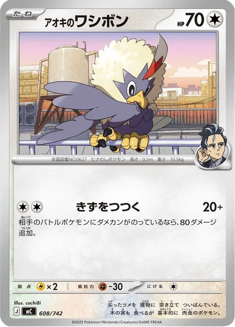 アオキのワシボン