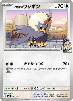 アオキのワシボン