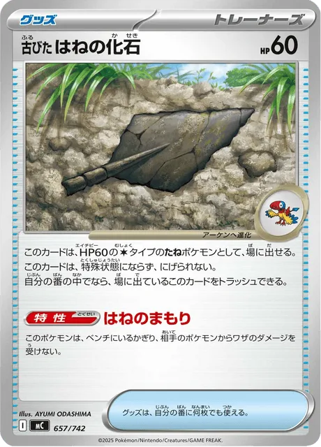古びたはねの化石