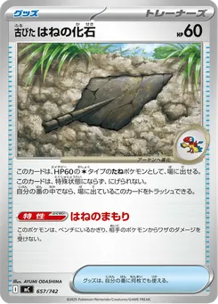 古びたはねの化石