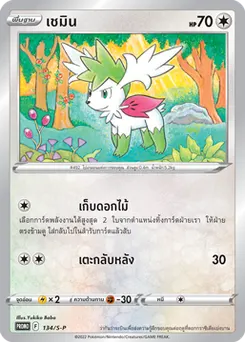 เชมิน