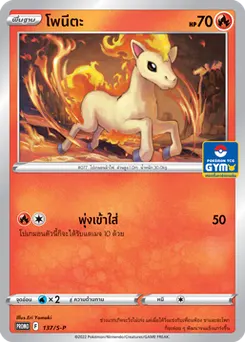 โพนีตะ