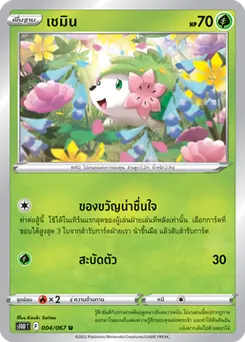 เชมิน