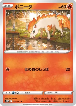 ポニータ