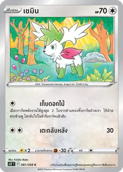 เชมิน