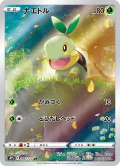 Turtwig