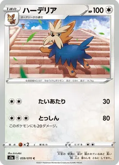 ハーデリア