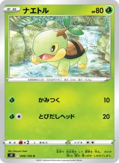 Turtwig