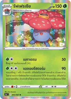 รัฟเฟรเซีย