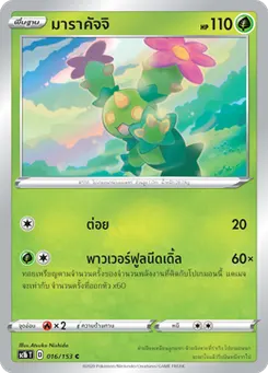 มาราคัจจิ