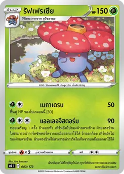 รัฟเฟรเซีย