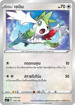 เชมิน