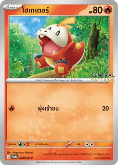 โฮเกเตอร์