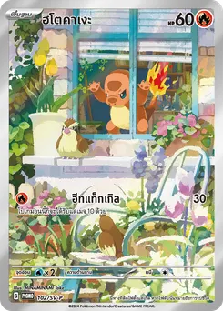 ฮิโตคาเงะ