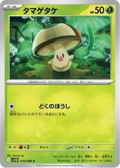 タマゲタケ