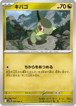 キバゴ
