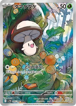 タマゲタケ