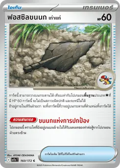 ฟอสซิลขนนก
