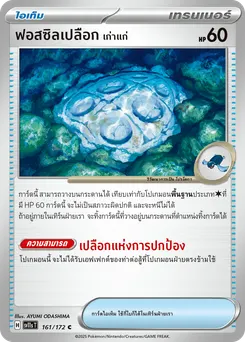 ฟอสซิลเปลือก เก่าแก่