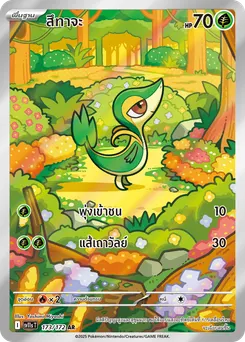 สึทาจะ
