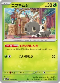 Scatterbug