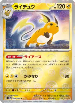 Raichu (Master Ball Pattern)