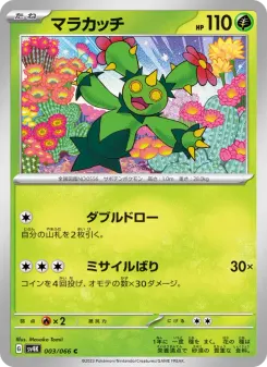 Maractus