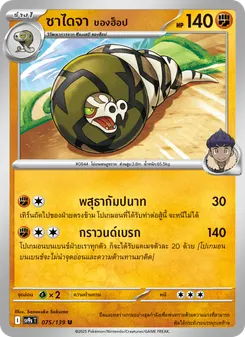 ซาไดจา ของฮ็อป