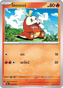 โฮเกเตอร์