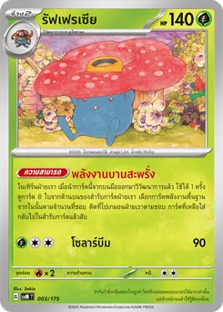 รัฟเฟรเซีย
