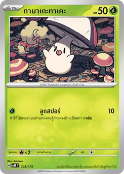 ทามาเกะทาเคะ