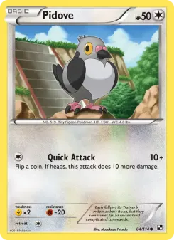 Pidove