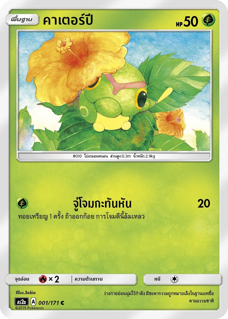 คาเตอร์ปี