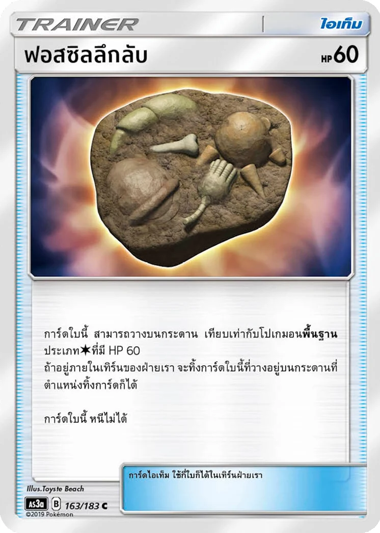 Unidentified Fossil